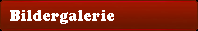 bildergalerie